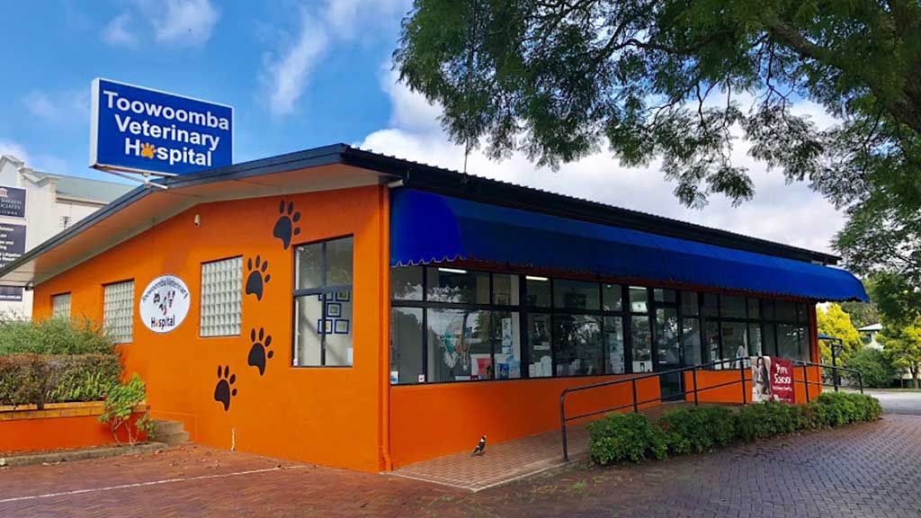 24 Hour Emergency Care Service Toowoomba Veterinary Hospital